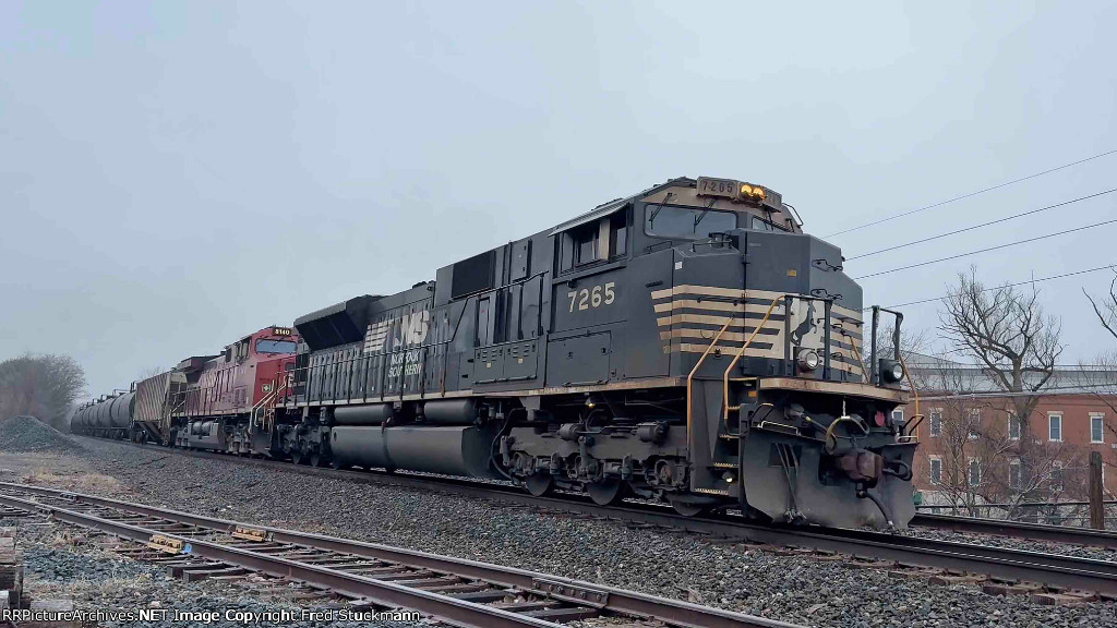 NS 7265 leads 66X.